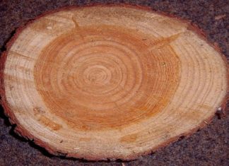 Creare un ciondolo in legno 1565 0 Creare un ciondolo in legno